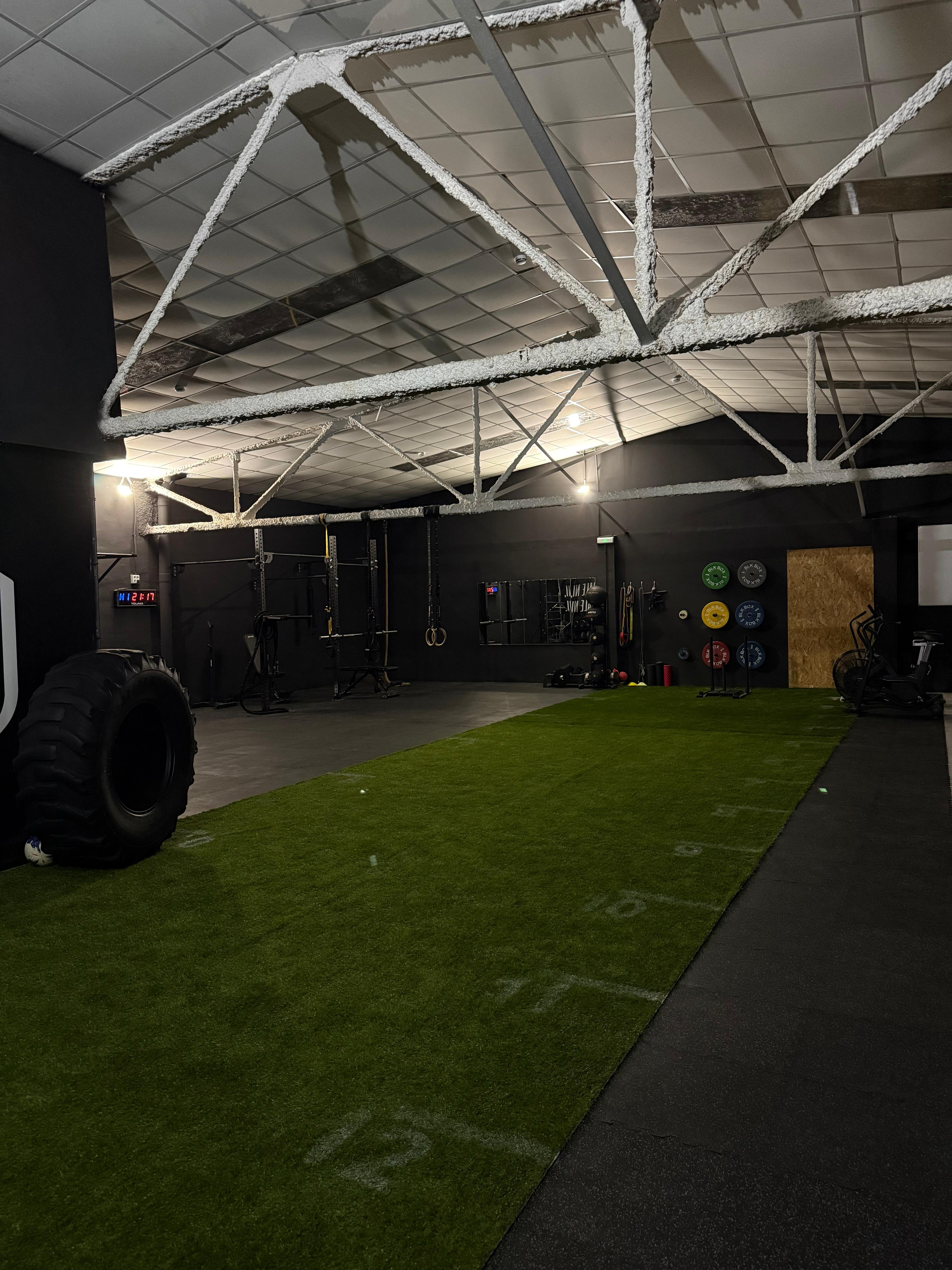 Área de pesos libres